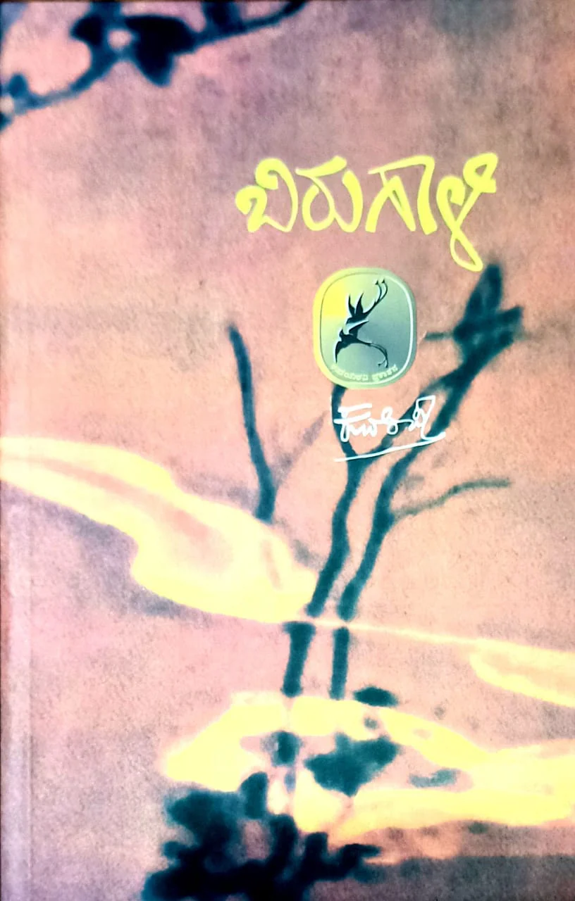 ಬಿರುಗಾಳಿ